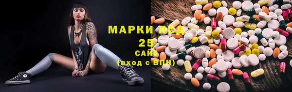 apvp Кукмор