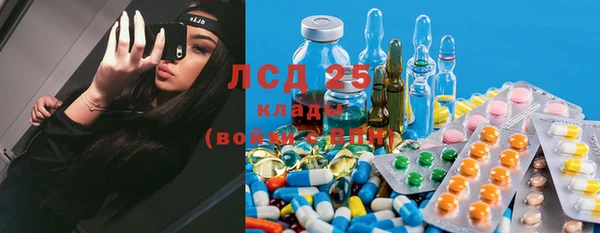 apvp Кукмор